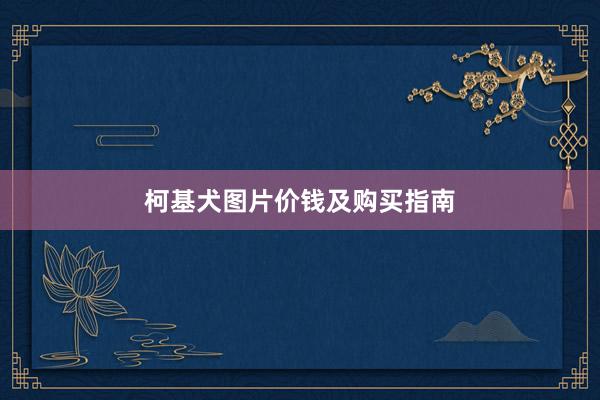 柯基犬图片价钱及购买指南